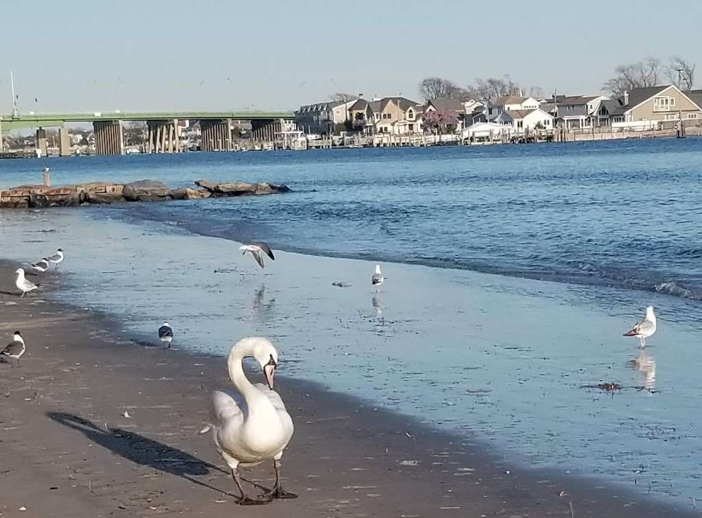 Rockaway Beach | Arverne, NY 11692 | Phone: (718) 318-4000