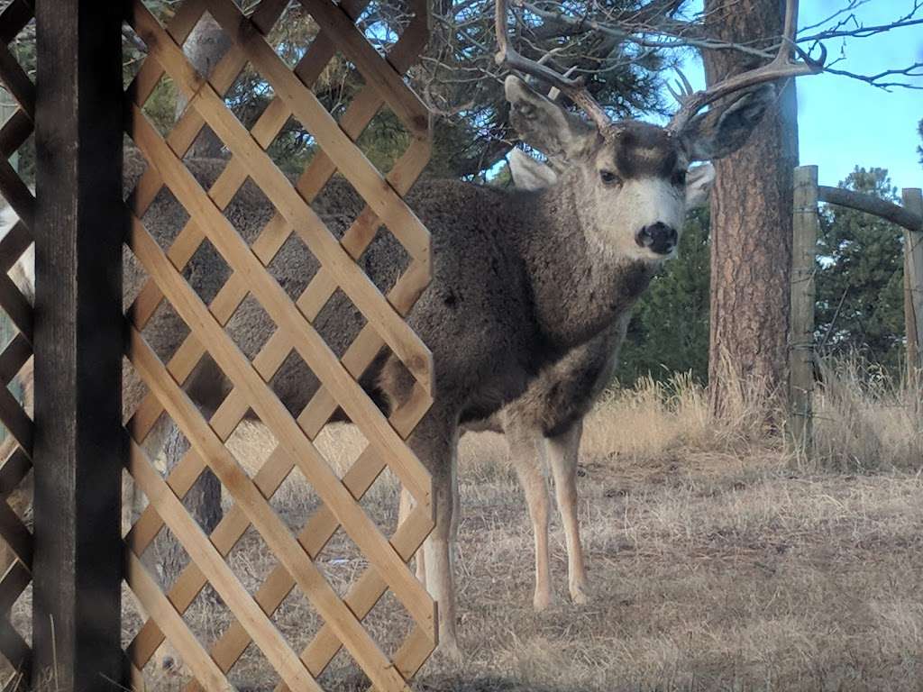 Ponderosa Plains Farm | 4999 Spruce Ct, Elizabeth, CO 80107, USA | Phone: (303) 918-5700