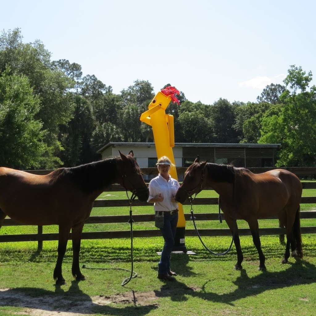 TROT Ranch, Inc. | 2681 Shad Ln, Geneva, FL 32732 | Phone: (407) 349-9351