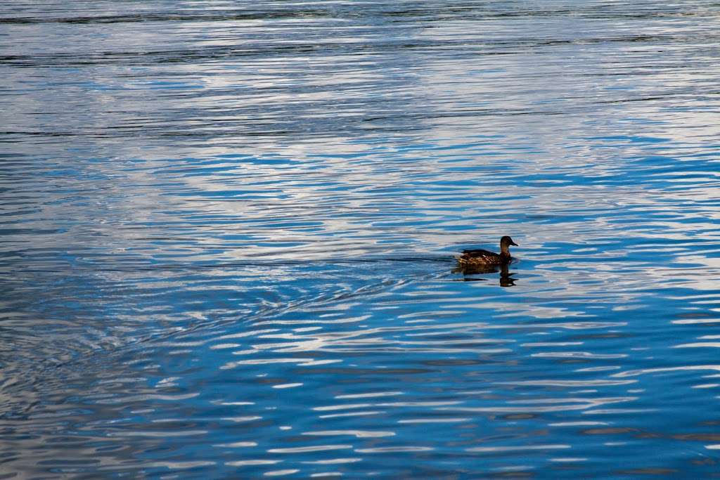 Croton Point Nature Center | 1 Croton Point Ave, Croton-On-Hudson, NY 10520, USA | Phone: (914) 862-5297