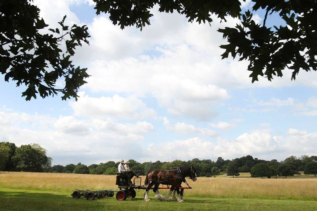 Operation Centaur | Holly Lodge, Richmond TW10 5HS, UK