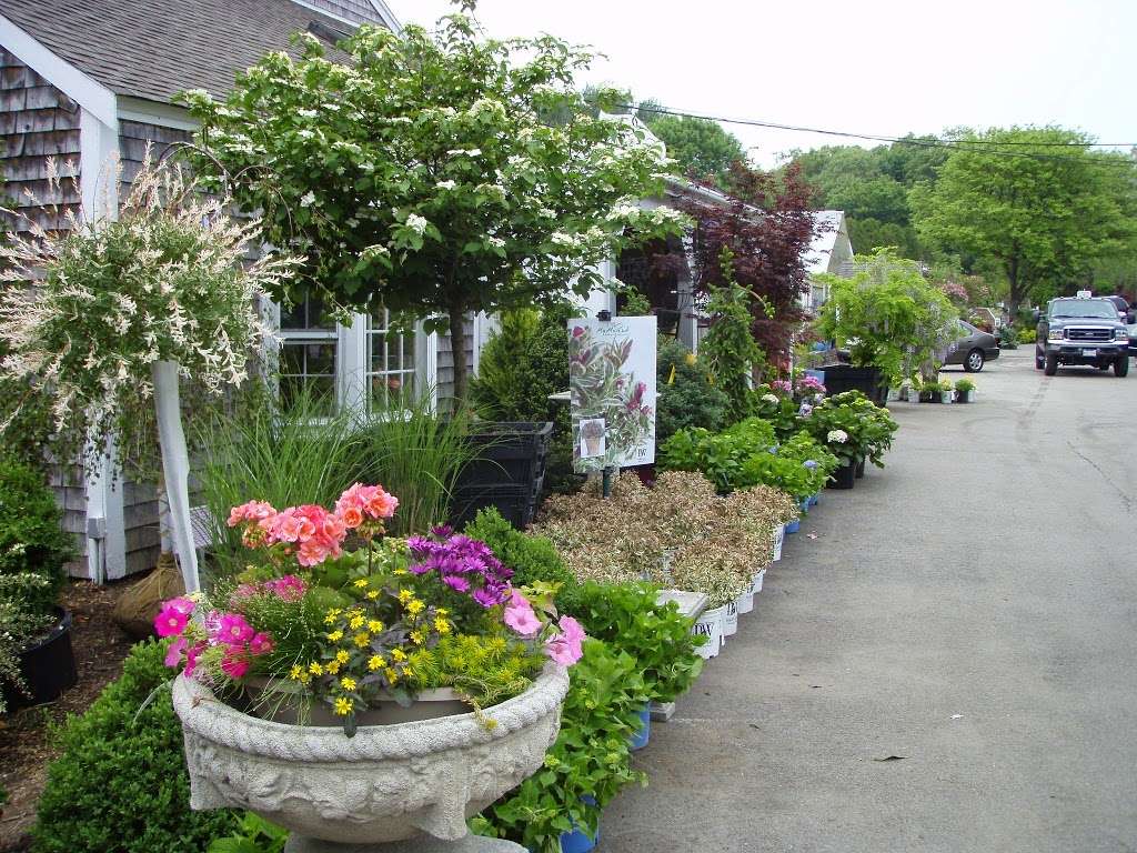 Kennedys Country Gardens | 85 Chief Justice Cushing Hwy, Scituate, MA 02066, USA | Phone: (781) 545-1266