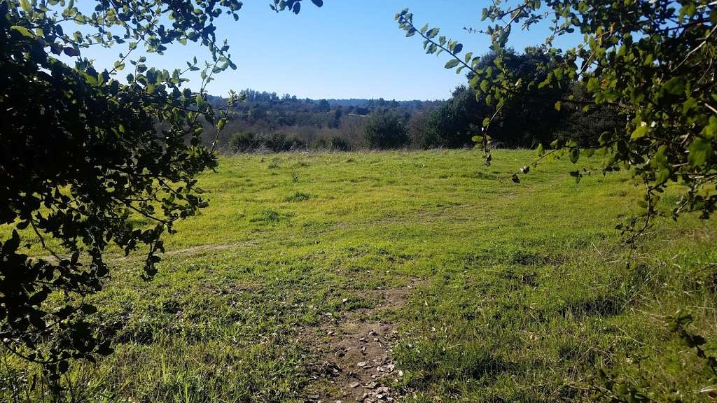 Ragle Ranch Park | 500 Ragle Rd, Sebastopol, CA 95472, USA | Phone: (707) 823-7262