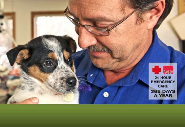 Deer Creek Animal Hospital | 10148 W Chatfield Ave, Littleton, CO 80127, USA | Phone: (303) 973-4200