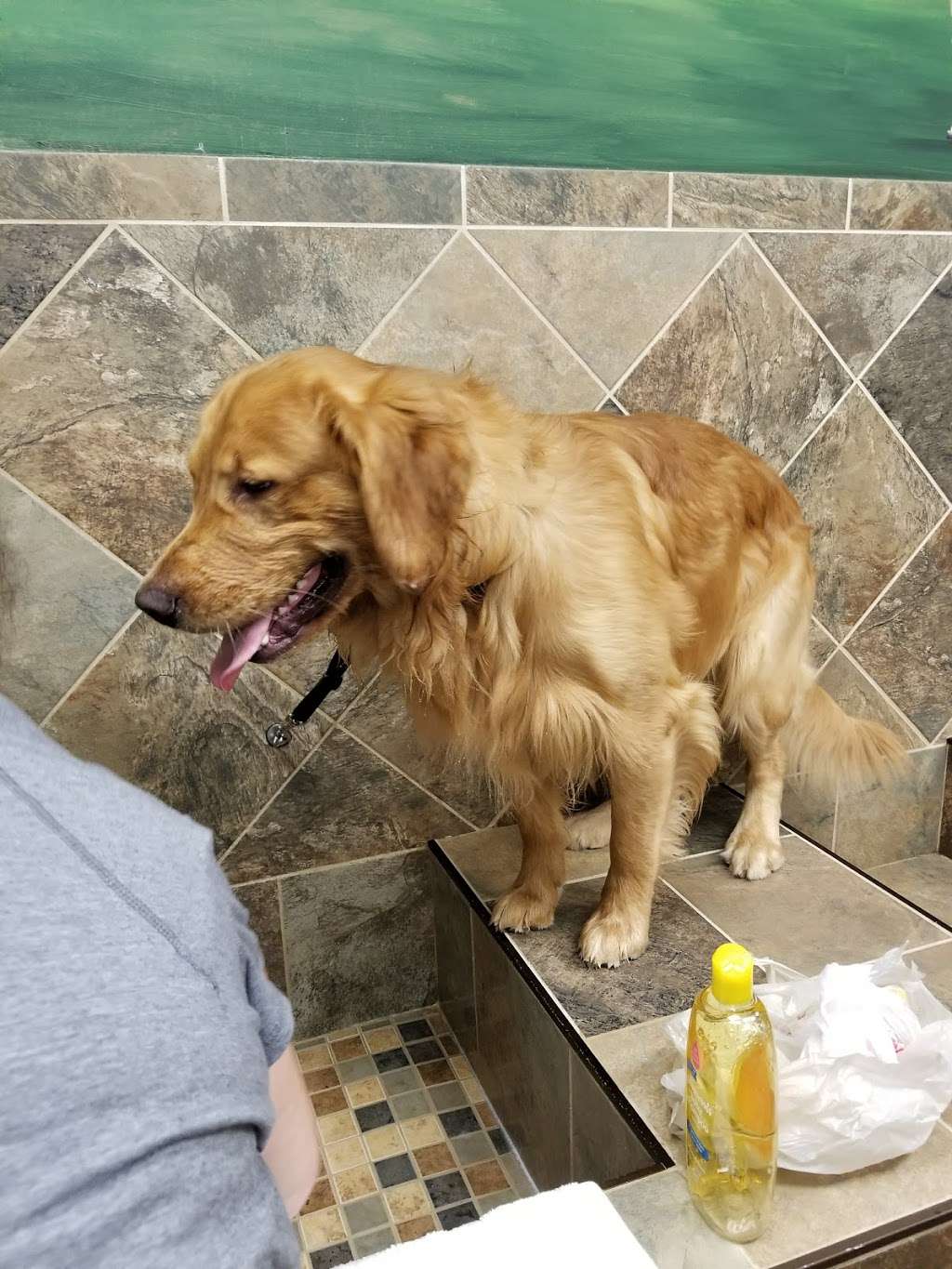 Pet Valu | 104 Baltimore Pike, Springfield, PA 19064, USA | Phone: (484) 479-3428