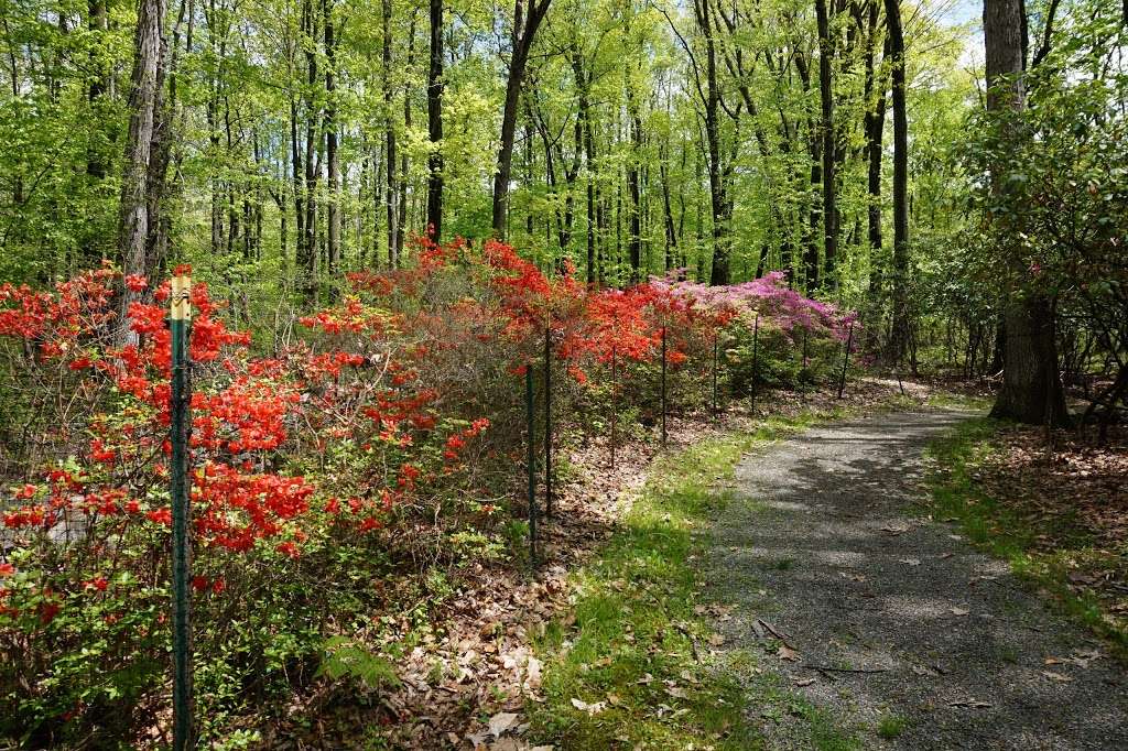 Graver Arboretum | 1581 Bushkill Center Rd, Bath, PA 18014 | Phone: (610) 342-6783