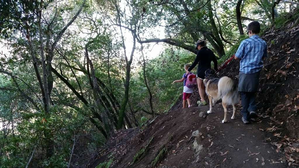 Martin Canyon Creek Trailhead | 11598-11300 Bay Laurel St, Dublin, CA 94568, USA