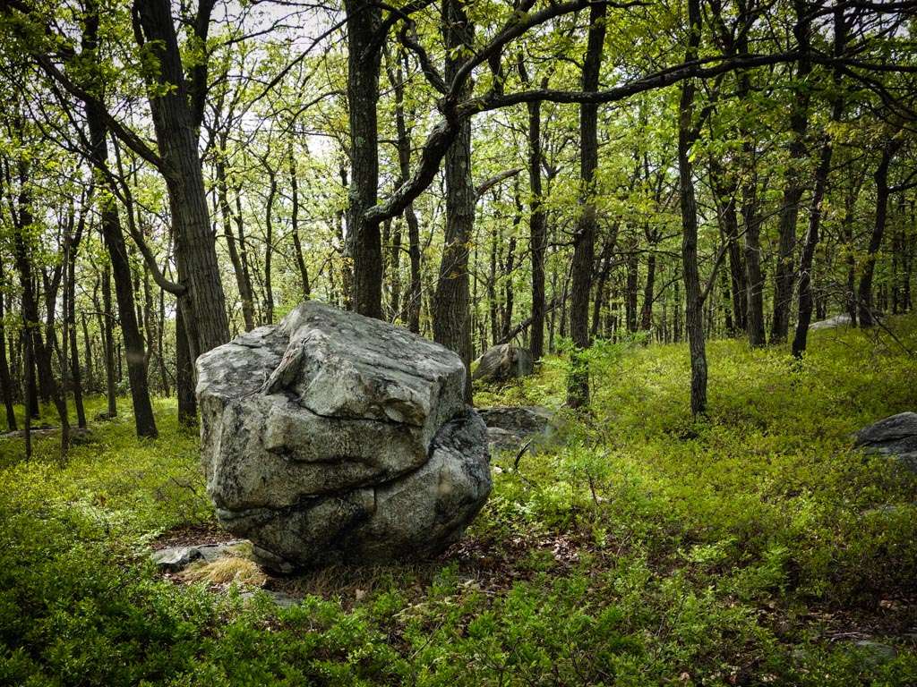 Ladentown Mountain | Haverstraw, NY 10970, USA