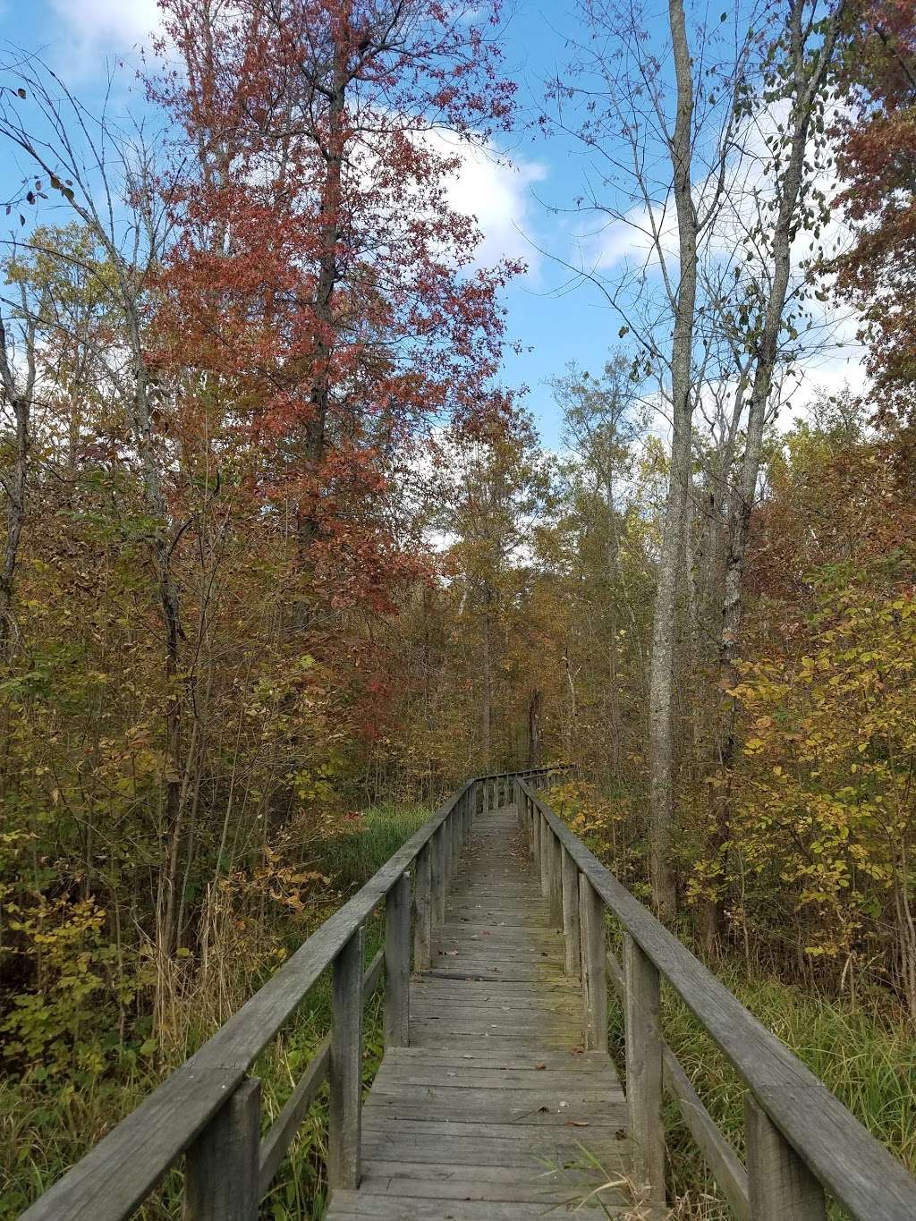 Beanblossom Bottoms Nature Preserve - Sycamore Land Trust | N Woodall Rd, Ellettsville, IN 47429, USA | Phone: (812) 336-5382