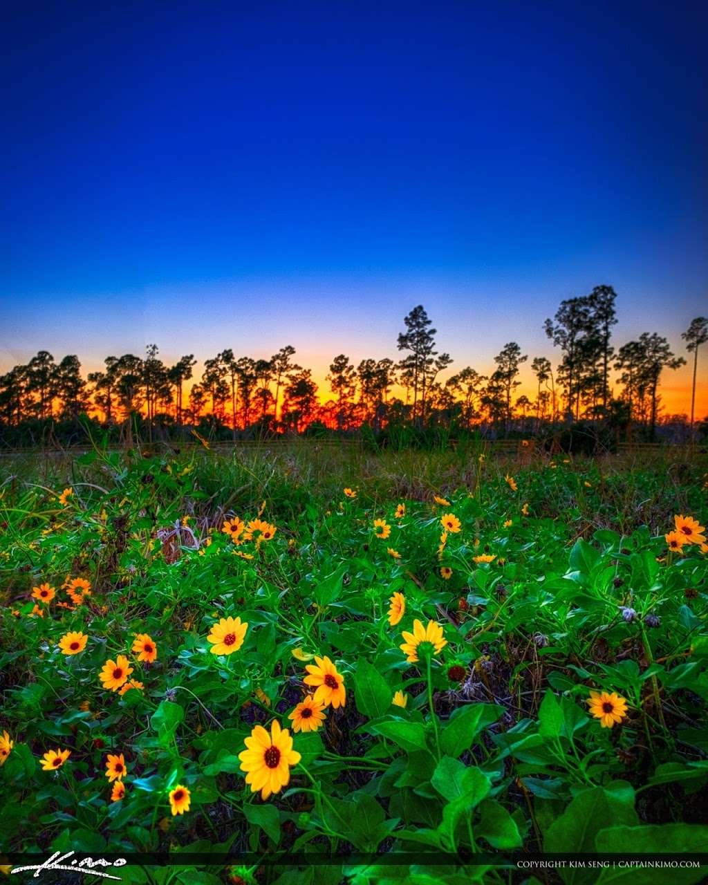 Cypress Creek South Natural Area | 9424 W Indiantown Rd, Jupiter, FL 33478, USA | Phone: (561) 233-2400