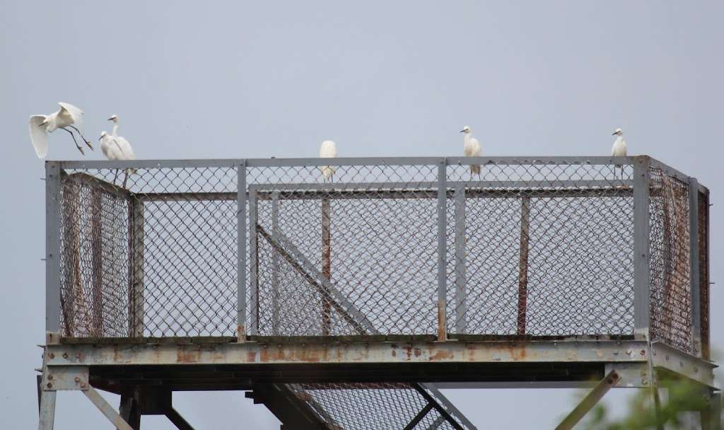 Woodland Beach State Wildlife Management Area | Smyrna, DE 19977, USA