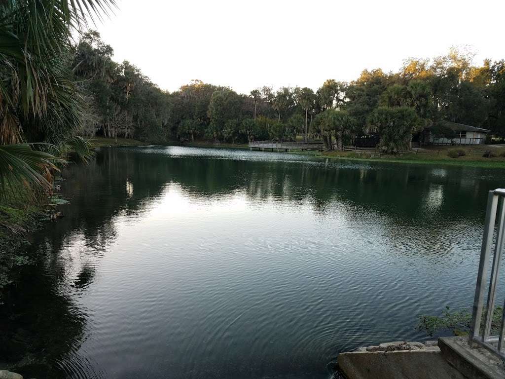 Gemini Springs Park | Spring-To-Spring Trail, DeBary, FL 32713, USA | Phone: (386) 736-5953