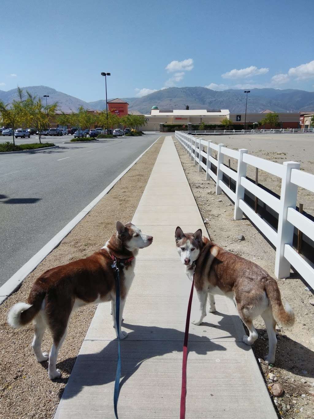 TA Truck Stop Diesel | 5924 Santa Elena Dr, Arvin, CA 93203 | Phone: (661) 858-2804