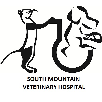 South Mountain Veterinary Hospital | 266 Church Rd, Mountain Top, PA 18707, USA | Phone: (570) 474-5355