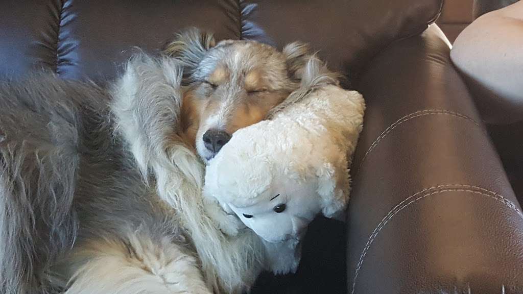 Phantom Ranch | W309 S10910 County Road I, Mukwonago, WI 53149, USA | Phone: (262) 363-6940