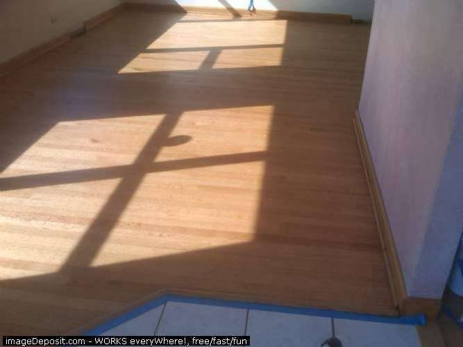Excellent Hardwood Floor | 10475 Ann Ct, Rosemont, IL 60018, USA | Phone: (224) 938-0141