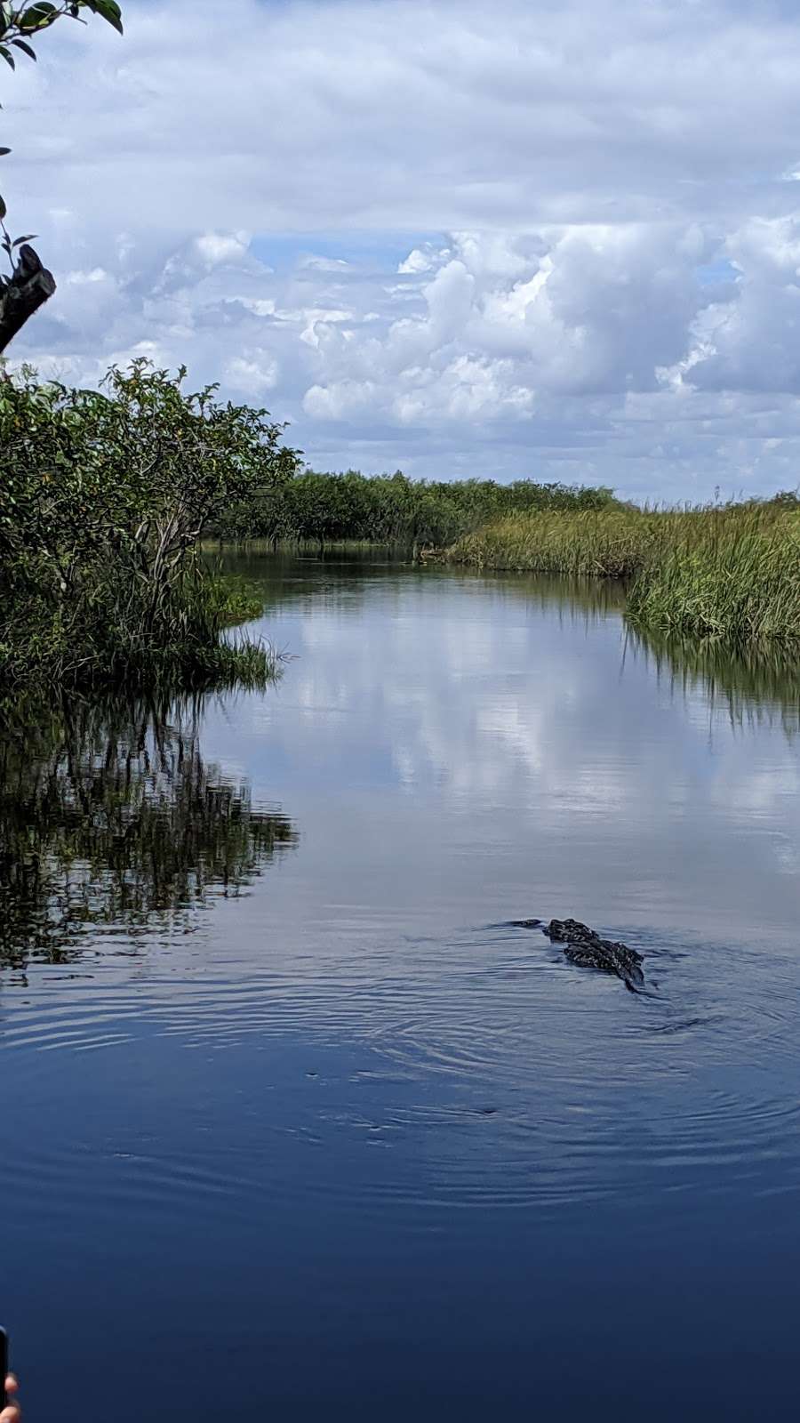 Airboat Rides Miami | 24050 SW 8th St, Miami, FL 33194, USA | Phone: (305) 559-2255