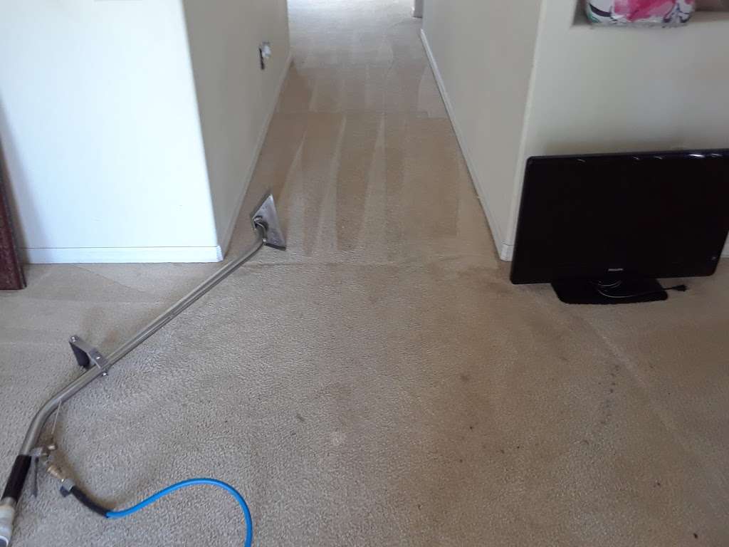 STR Carpet Cleaning & Floor Care | 926 East Alfred dr, Lake Alfred, FL 33850, USA | Phone: (863) 595-6671