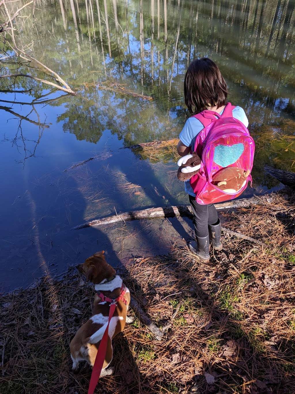 Sam Houston National Forest Multi-Use Trail West Parking | Kellys Pond Rd, Montgomery, TX 77356, USA | Phone: (936) 344-6205