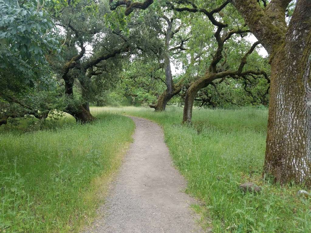 Crane Creek Regional Park | 5000 Pressley Rd, Santa Rosa, CA 95404, USA | Phone: (707) 539-8092