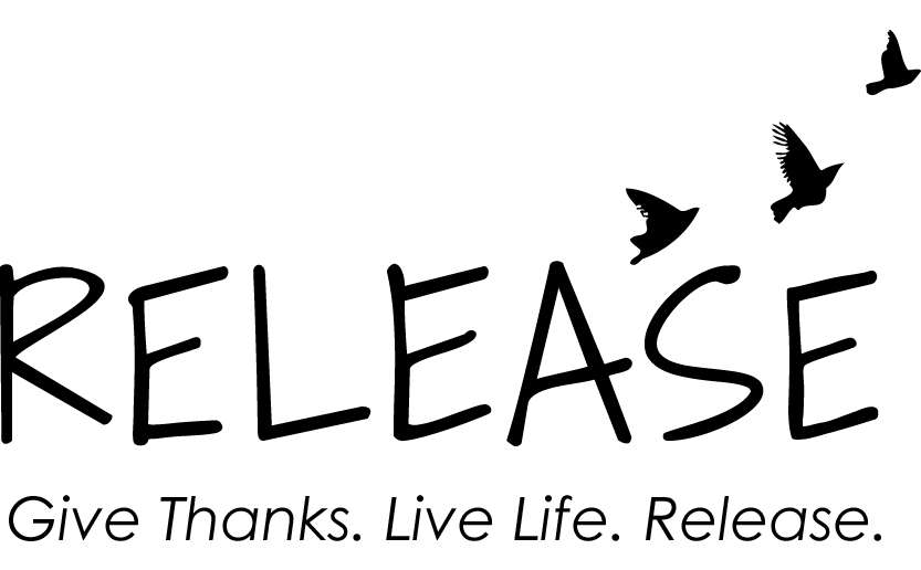Release Recovery | 482 Underhill Ave, Yorktown Heights, NY 10598, USA | Phone: (800) 678-2196
