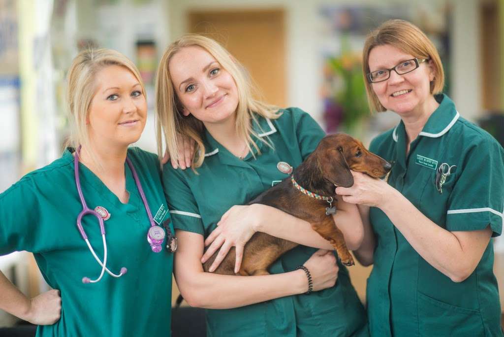 Parkvets Hayes | 44 Hayes St, Bromley BR2 7LD, UK | Phone: 020 8619 0499