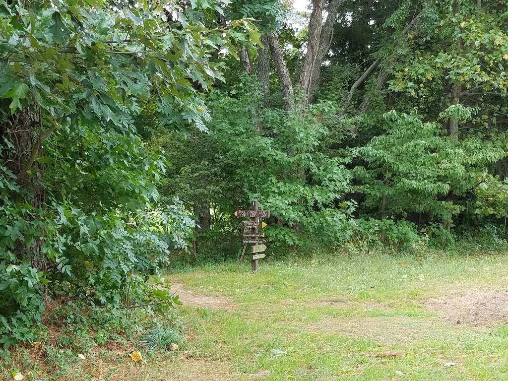 American Chestnut Land Trust South Side Trailhead | 2650 Scientists Cliffs Rd, Port Republic, MD 20676, USA | Phone: (410) 414-3400