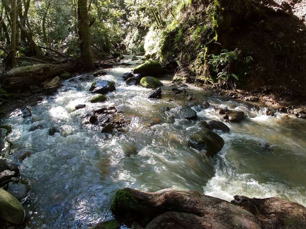 Lake Ilsanjo Dam | Lake Trail, Santa Rosa, CA 95404, USA