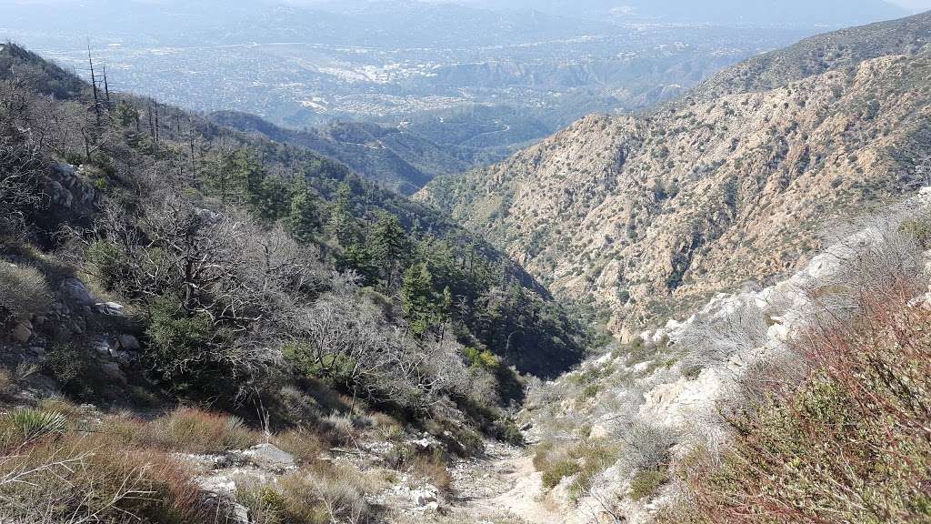 Mt Lowe Trail Camp | Muir Peak Rd, Mt Lowe Rd, Altadena, CA 91001