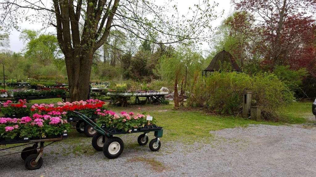 Brookville Nurseries | 5300 Northern Blvd, Glen Head, NY 11545, USA | Phone: (516) 626-0018