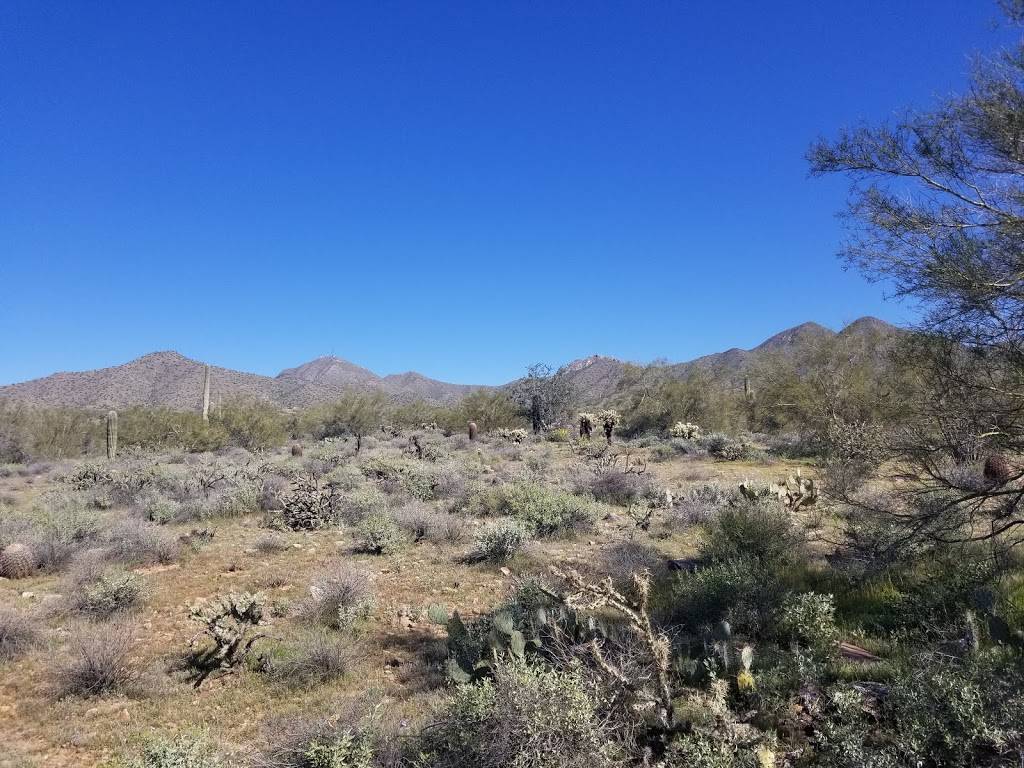 Lost Dog Wash Trailhead | 12601 N 124th St, Scottsdale, AZ 85259, USA