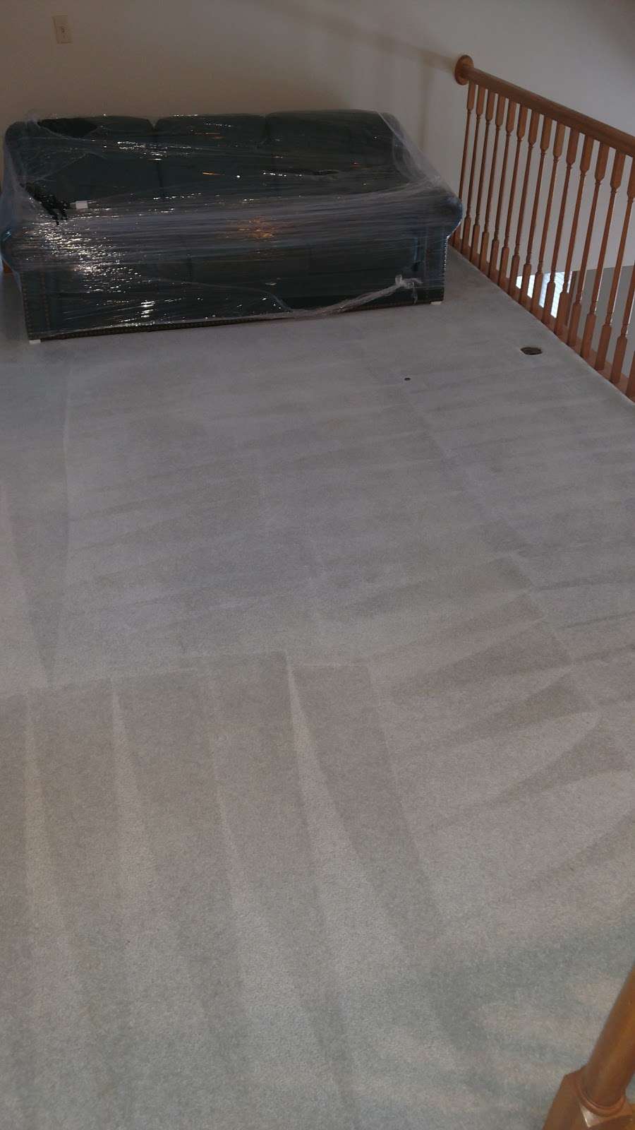 ProMax Carpet Clean | 4197 S 68th St, Greenfield, WI 53220, USA | Phone: (262) 777-1362