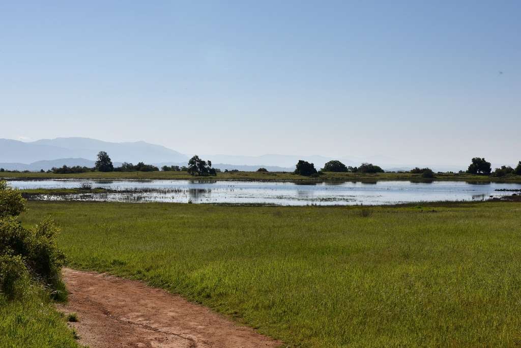 Santa Rosa Plateau Ecological Preserve | 39400 Clinton Keith Rd, Murrieta, CA 92562 | Phone: (951) 677-6951