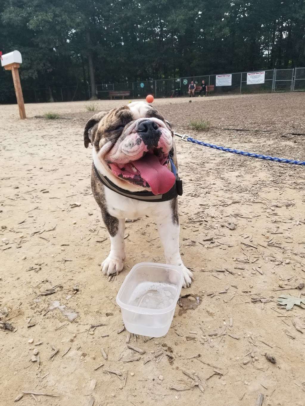 Prince William County Dog Park | Minnieville Rd, Lake Ridge, VA 22192 | Phone: (703) 792-6000