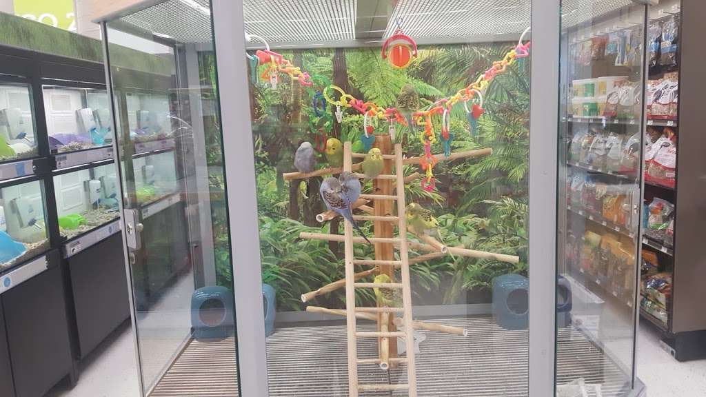 petco on 1960 and veterans memorial