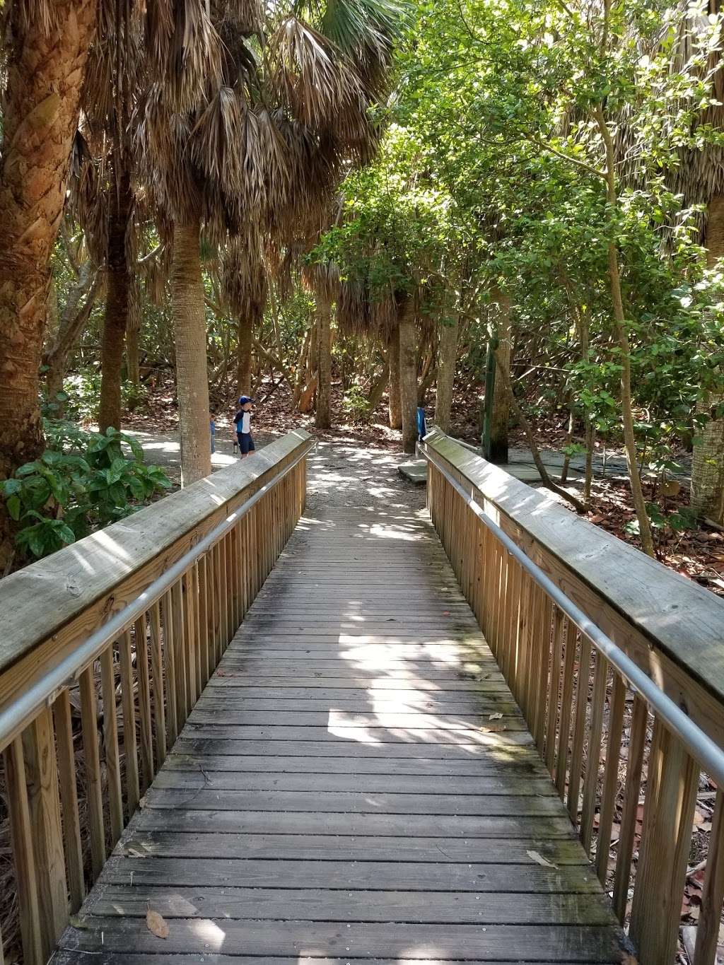 Nature Conservancy Blowing Rocks | 575 S Beach Rd, Hobe Sound, FL 33455, USA | Phone: (561) 744-6668