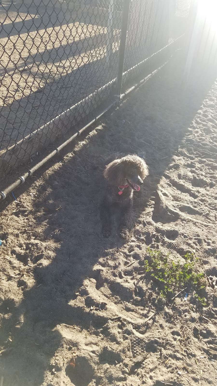 Rio San Gabriel dog park | Rio San Gabriel Park, 9612, Ardine St, Downey, CA 90241, USA