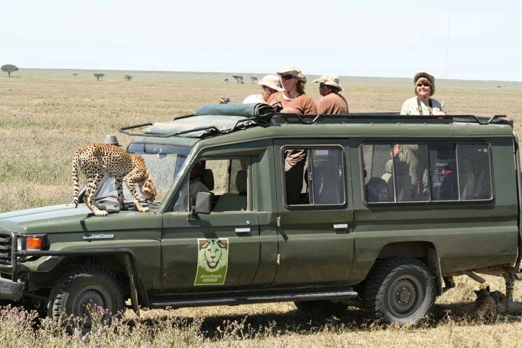 Africa Dream Safaris | 31244 Palos Verdes Dr W Suite 239, Rancho Palos Verdes, CA 90275, USA | Phone: (877) 572-3274