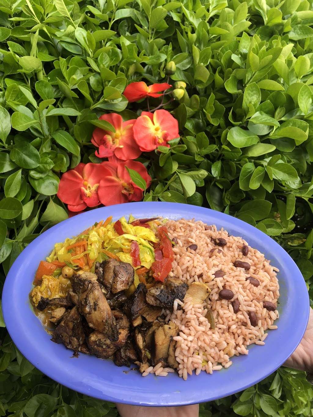Caribbean Cove DC | 9348 Cherry Hill Rd, College Park, MD 20740, USA | Phone: (240) 542-4965