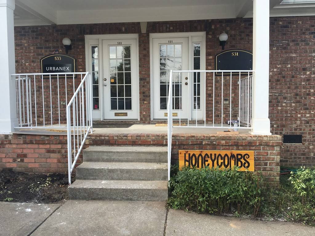 HoneyCombs Lice Boutique | 531 Rivergate Pkwy, Goodlettsville, TN 37072, USA | Phone: (615) 549-5423