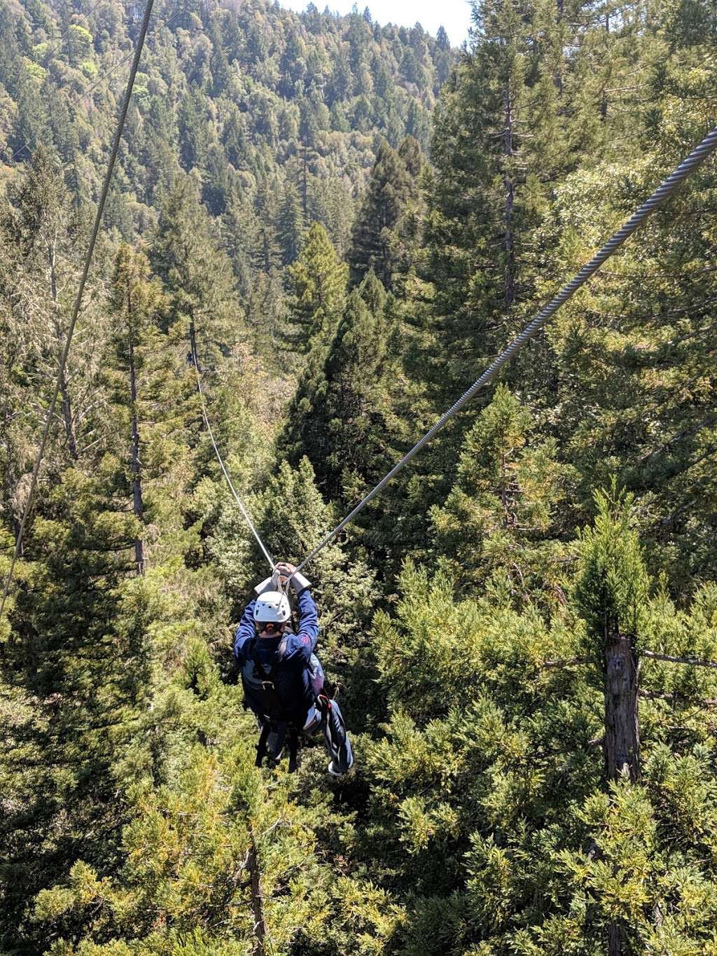 Sonoma Canopy Tours | 6250 Bohemian Hwy, Occidental, CA 95465, USA | Phone: (888) 494-7868