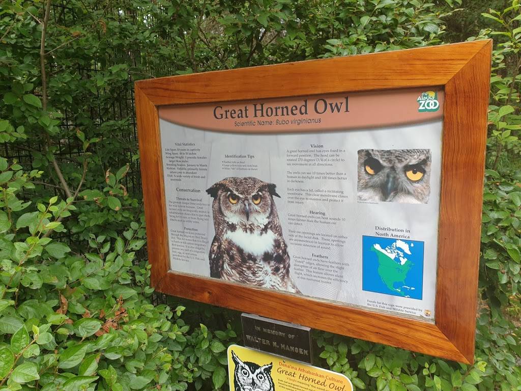 Owl Exhibit | Anchorage, AK 99507, USA | Phone: (907) 346-2133