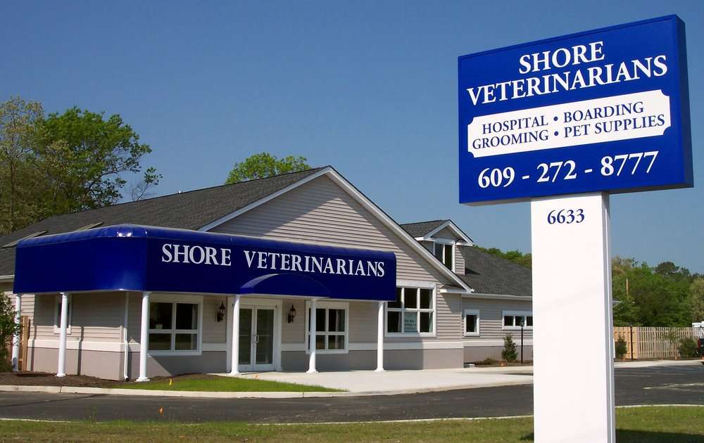 Shore Veterinarians North | 6633 E Black Horse Pike, Egg Harbor Township, NJ 08234, USA | Phone: (609) 272-8777