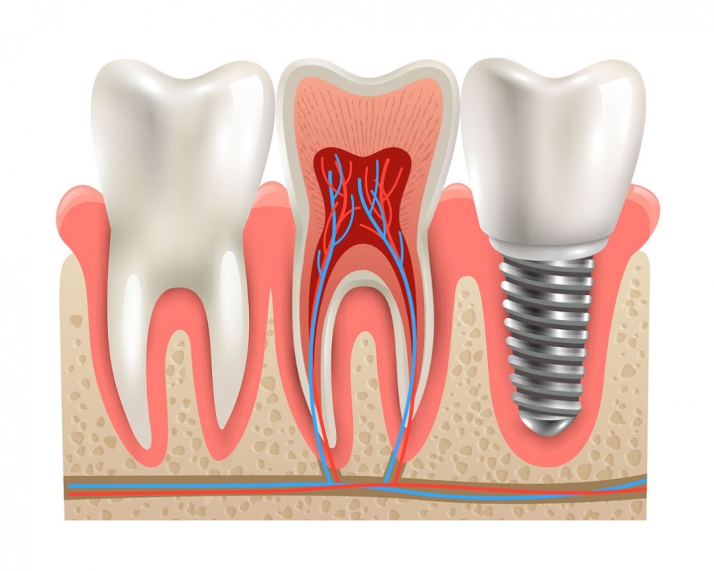 Dr. Edward Scott & Dr. Erin Scott | 5439 Liberty Rd, Greensboro, NC 27406, USA | Phone: (336) 674-2497