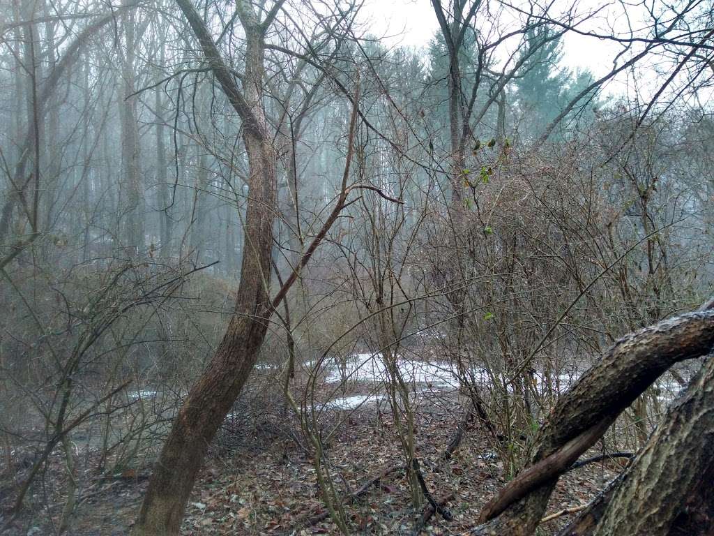 Emlen Meadow | 7306 Emlen St, Philadelphia, PA 19119, USA