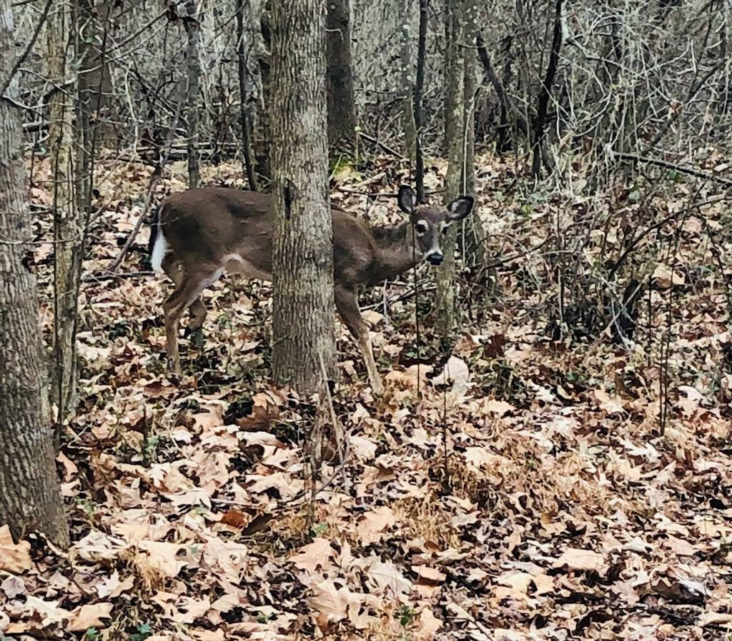 White Deer Park Nature Center | 2400 Aversboro Rd, Garner, NC 27529, USA | Phone: (919) 661-6982