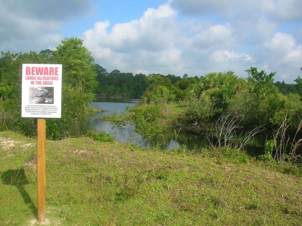 Hampton Tract/Green Swamp Wilderness Preserve | 14440 Rockridge Rd, Polk City, FL 33868, USA | Phone: (800) 423-1476