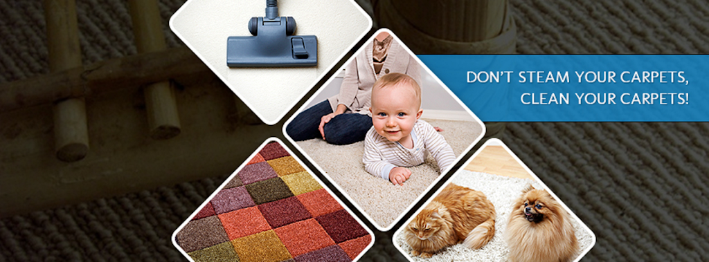 Lexington Cleanpro - Carpet Cleaner | 112 Falls Creek Dr, Georgetown, KY 40324, USA | Phone: (859) 684-0269