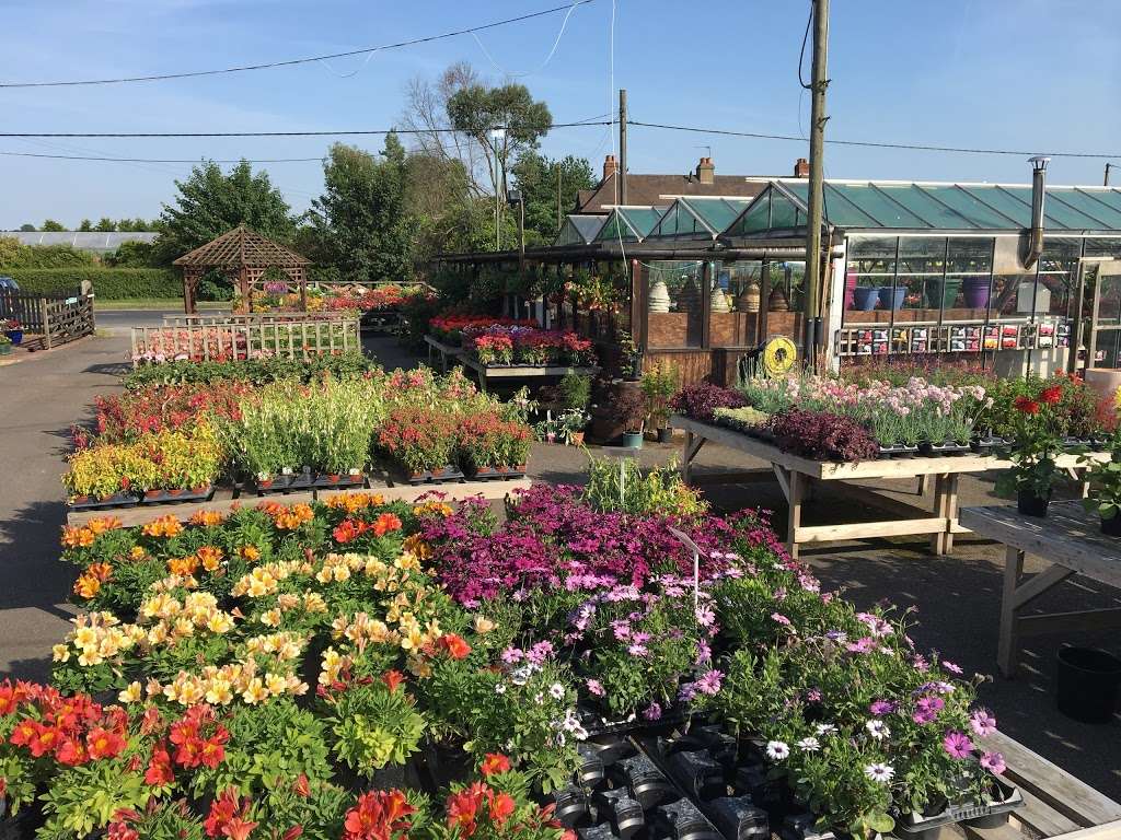 Barnes Nurseries | 46 Woodmansterne Ln, Wallington SM6 0SW, UK | Phone: 020 8647 8213