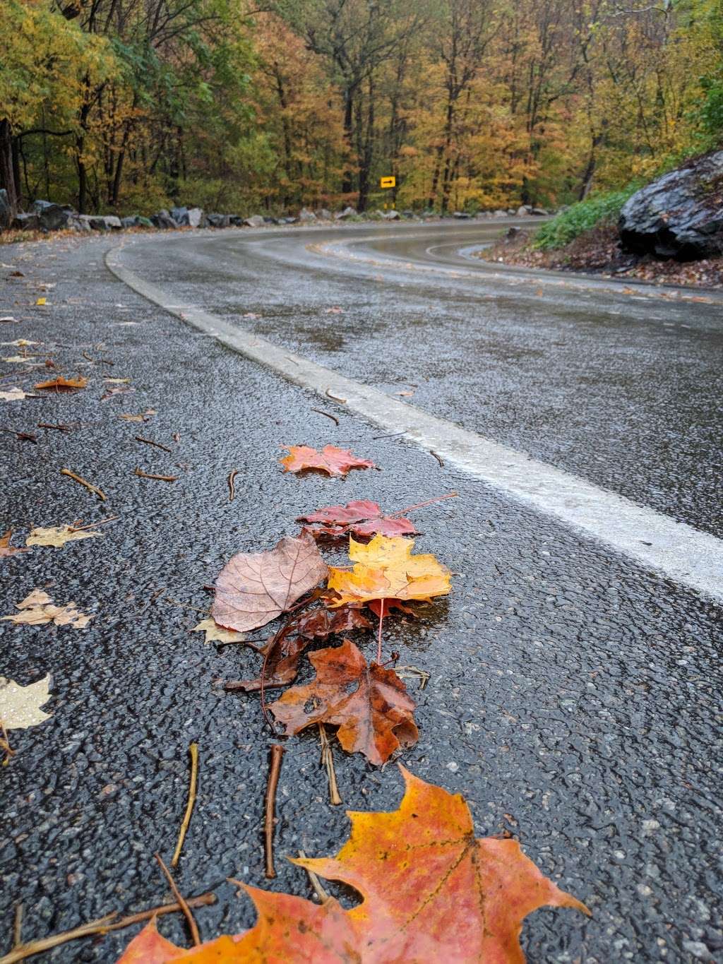 Anthonys Nose II - Trail Head | Bear Mountain Bridge Rd, Cortlandt, NY 10567, USA